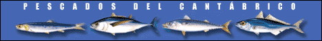 Pescados del Cantabrico