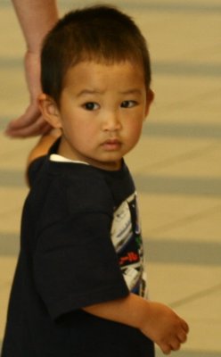 img012.jpeg.medium.jpeg
